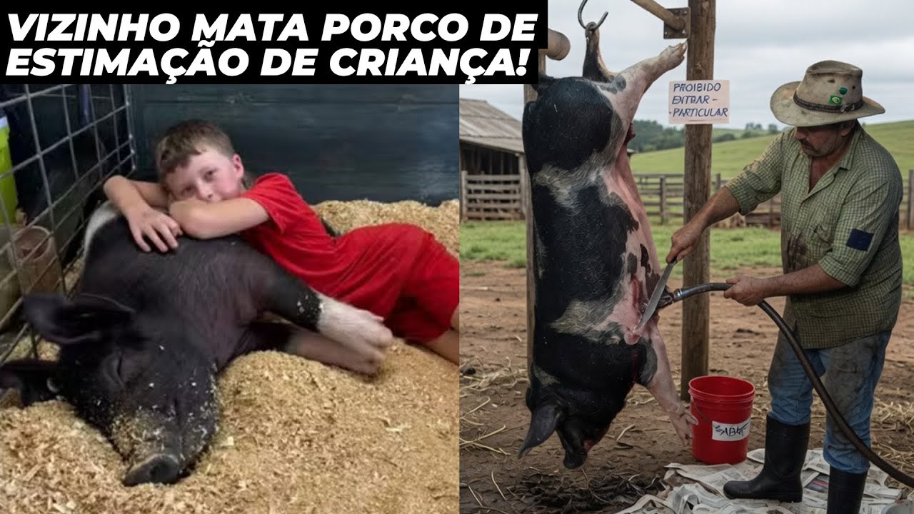 Vizinho mata porco de estimação de criança e vai preso
