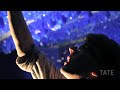 Roger Hiorns' Seizure from TateShots Issue 16