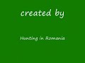 Hunting in Romania - Wild duck
