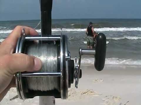 Florida Sharking Preparation