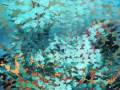 Sirenas