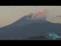 Travel Guide - Japan