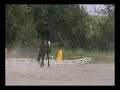 Cession � la jambe