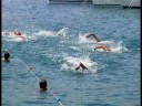 Trofeo Noceti 2008