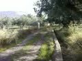 tamudo con el bespino en fiñana