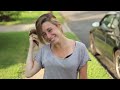 music parodies HD - Cee Lo Green - Forget You (Music Video Parody) Clean Version With Lyrics