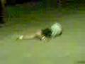 videos de pechan vs la morsilla