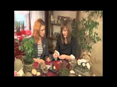 Prohlédnout video