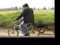 Prueba de Resistencia-Pastor Alemán Coombia