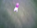 HZ SuperCub Flying Over Reading in the UK (11mph Winds)