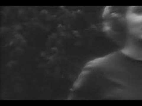 Juvenile Delinquent - The Violent ...