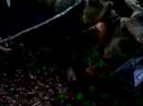 Thumbnail #2