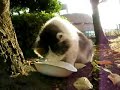 食欲旺盛で食べつくす♪