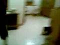 CEL+.wmv