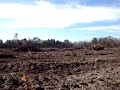 OLD SCHOOL D6D Raking brush between stumps Caterpillar Dozer.wmv