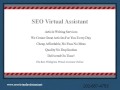 seovirtualassistant.net video2.wmv