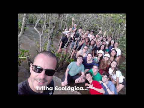 Ilha Grande com o Ensino Médio