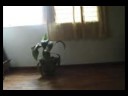 Aprendendo-Shuffle