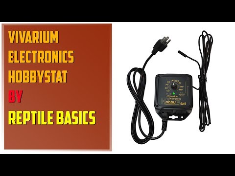 YouTube reptile video