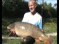 A Big Big Common Carp A Big Big Common Carp