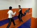 Jeet Kune Do G�lc�k-1