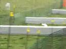 March Madness hurdle race