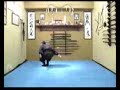 Gimnasia 9 Bujinkan Colombia Gimnasia 9 Bujinkan Colombia