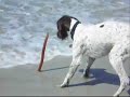Xabi at Carmel Beach Xabi at Carmel Beach