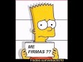 broma piolin 6