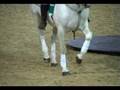 EQUITANA Promotion Video - Pferdemesse, horse show