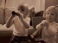 Flutes