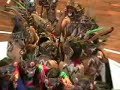 Folklore-Orgullo-Shi
