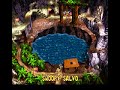 Donkey Kong Country 3 - Swoopy Salvo