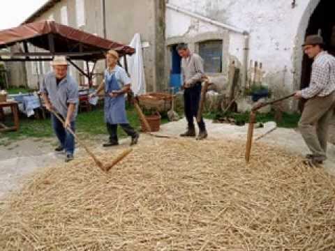 Mentionner la pluie dans la Amida (13) – Shoul’han Aroukh chapitre 114 §4 – Halakha Béroura (3)