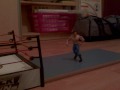 Stop Motion Wrestling.wmv