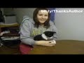 Betisier d'animaux, marrant - droles de chats. Funny animals cats