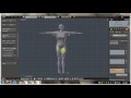 How to Use the New Bone Weight Copy 2.5x Script