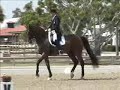 George Williams & Marnix - Grand Prix Freestyle