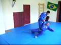 Real Aikido- Srdjan Tijanic braon belt