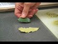 Barbeque Dry Rub Recipes