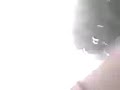 abejas eutiquio la rosiadora