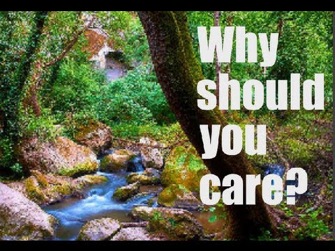 how to take care of the environment