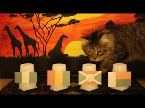 Group B - Cats Africa Cup Of Nations 2019 Prediction