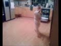 Me doing Tae-Kwon-Do Me doing Tae-Kwon-Do