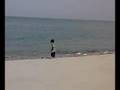 بوبي البحر