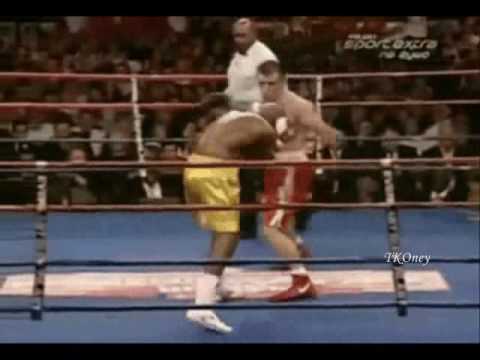 adamek-will-in-uk-gegen-haye-ran