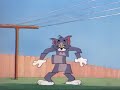 Tom y Jerry -Cat