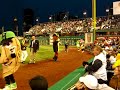 The Great Pierogi Race (5/18/2007)