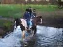 Neds in River Neds in River