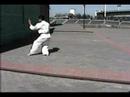 6.flv